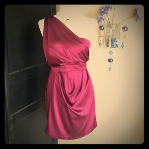 MUST LOOK! Twelfth Street by Cynthia Vincent Dress